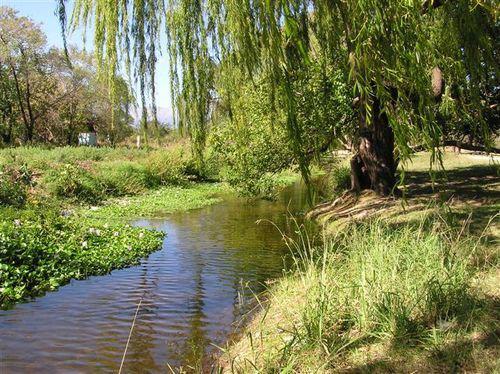 207 rio-de-los-sauces 03