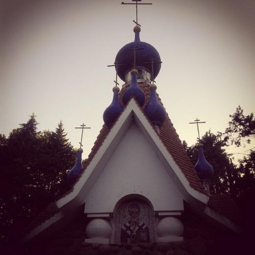 256 ortodoxa anisacate 00