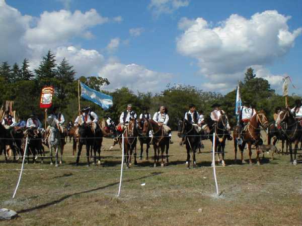 288 gauchos aromos 02