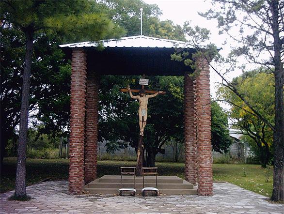 265 rosa mistica bialet 2