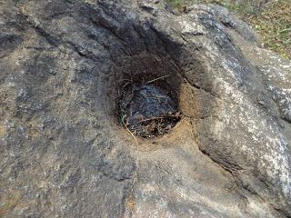 morteros azul   ddddJPG