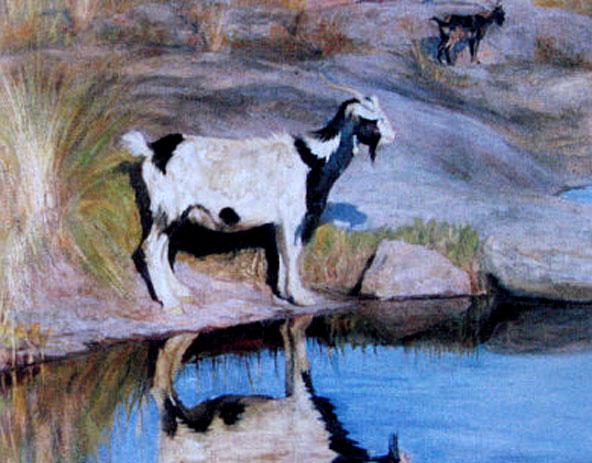 249 cordiviola caba 02