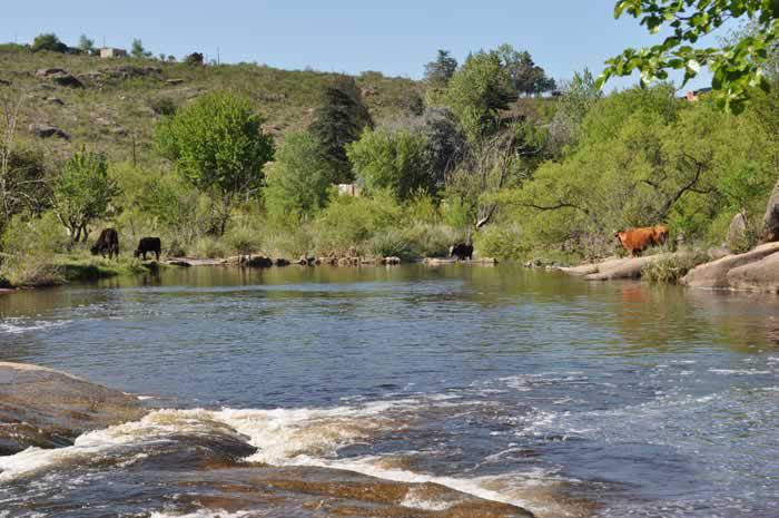 175 la olla siquiman