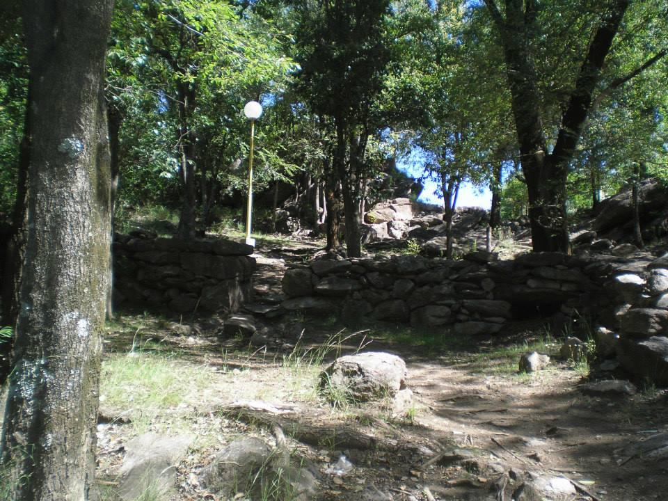 221 las rosas - copia