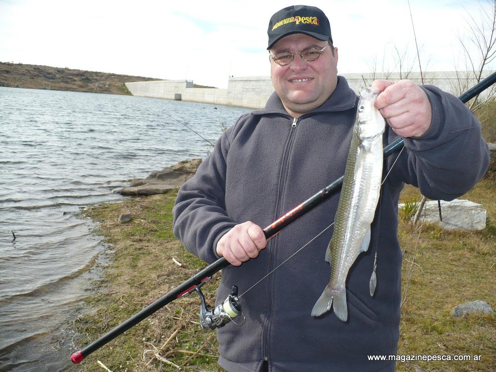 296 las lajas achias 3