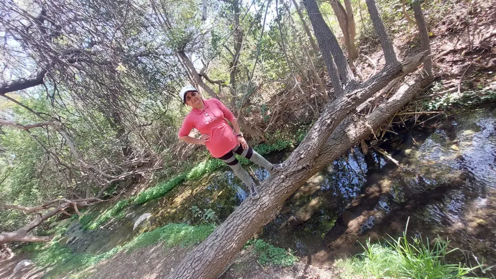 168 zorzales 168 zorzales