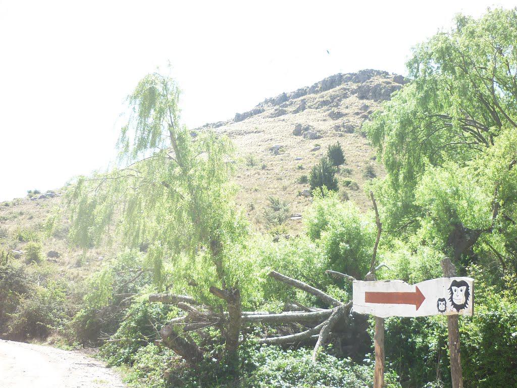 275 camino ascochinga la cumbre 05