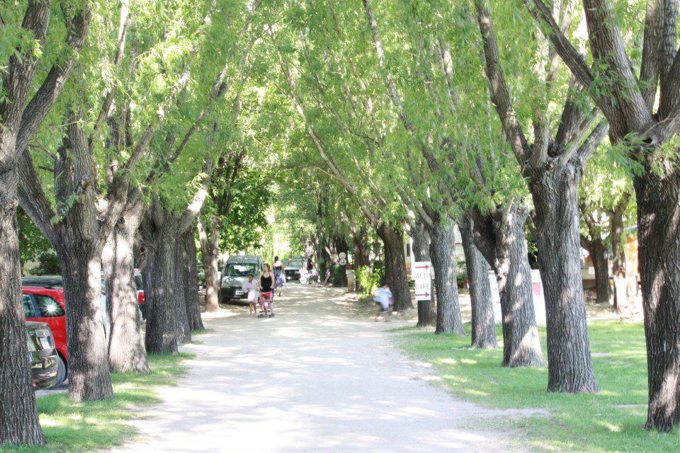 235 camping el faro alp 05