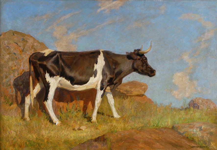 248 cordiviola caba 01