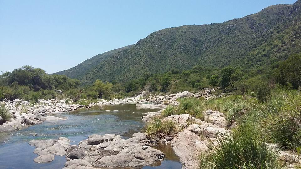 270 rio pinto pinto 09