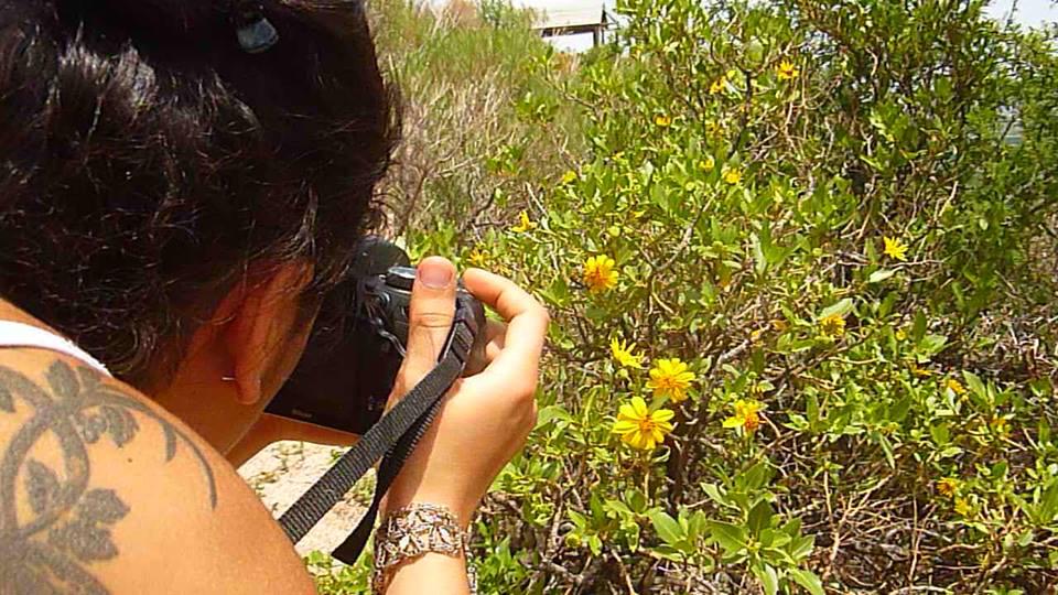 278 altos del condor 05