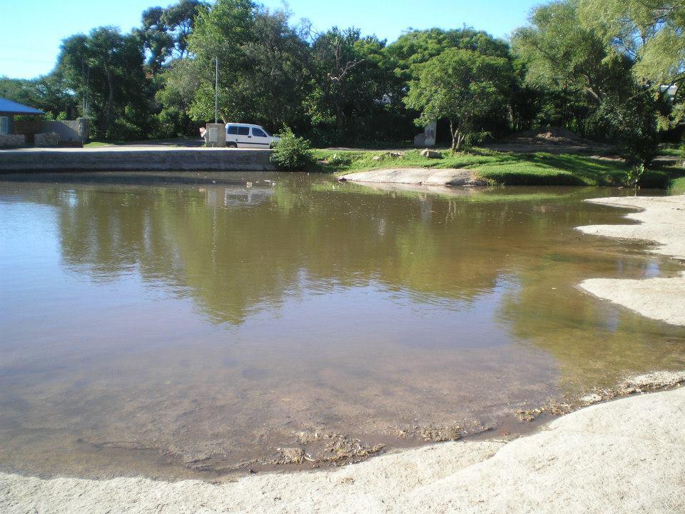 297 los coquitos achiras 3