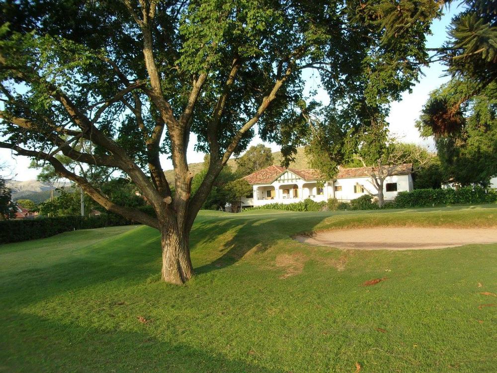 050 golf - copia (2)