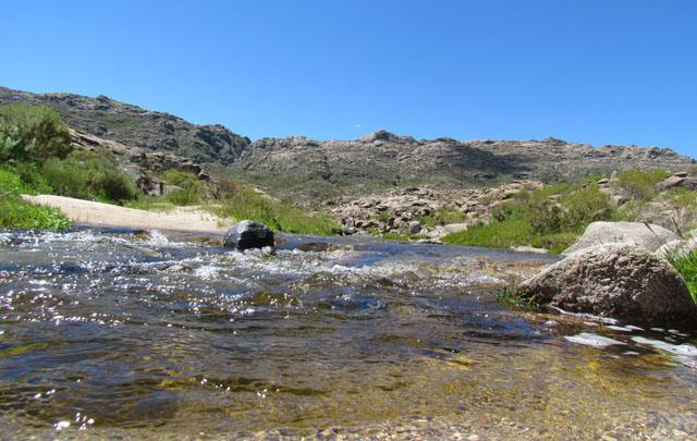 044 abuela teresa mc