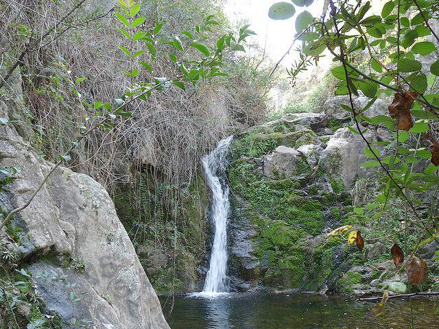 224 cascada helechos 1
