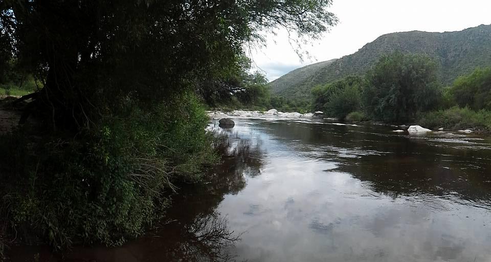 271 rio pinto pinto 04