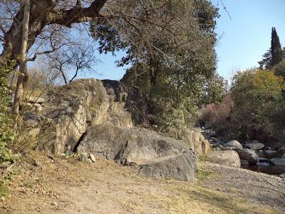 estructura cereminial