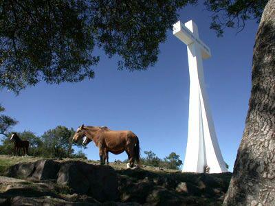cerro cruz cp 0