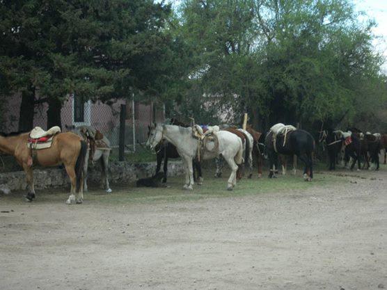 255 paraje dolores 0