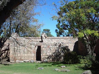 244 molino