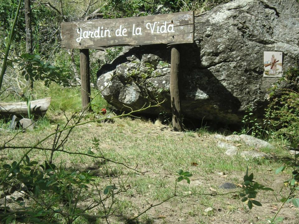 199 jardin 1 - copia