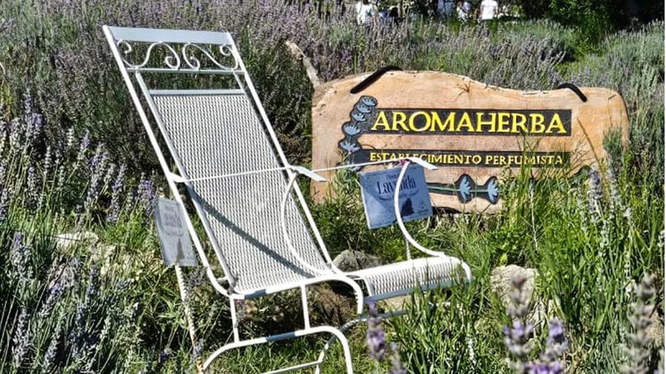290 aromaherbe