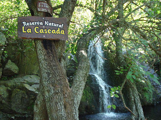 095 la cascada 2