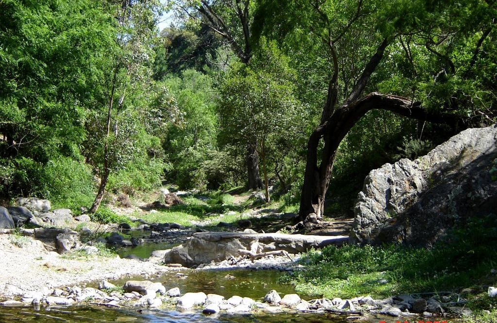 251 pozo verde
