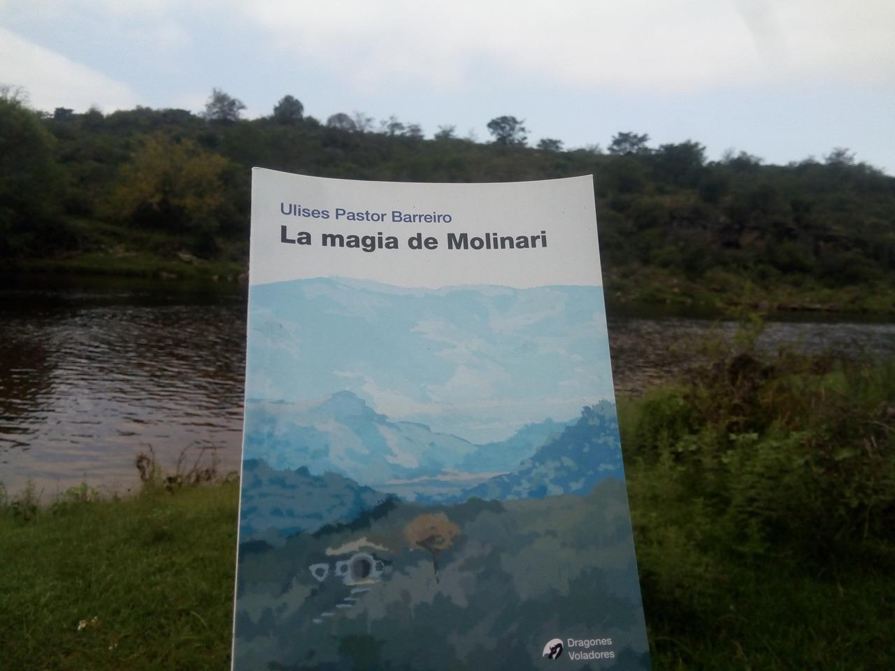 264 molinari