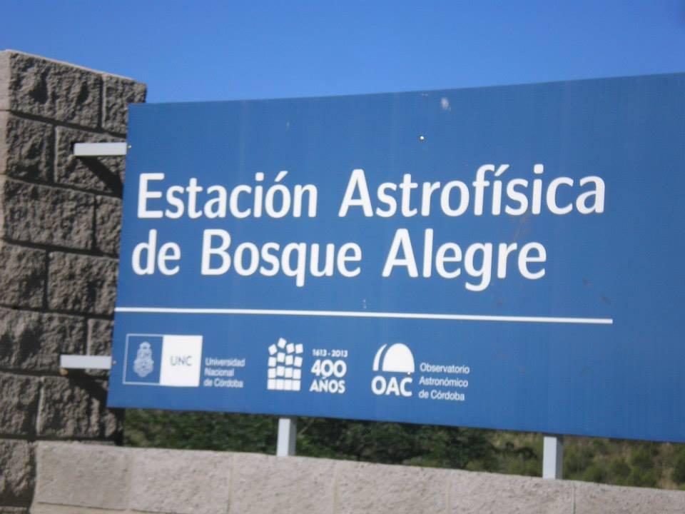 283 bosque al