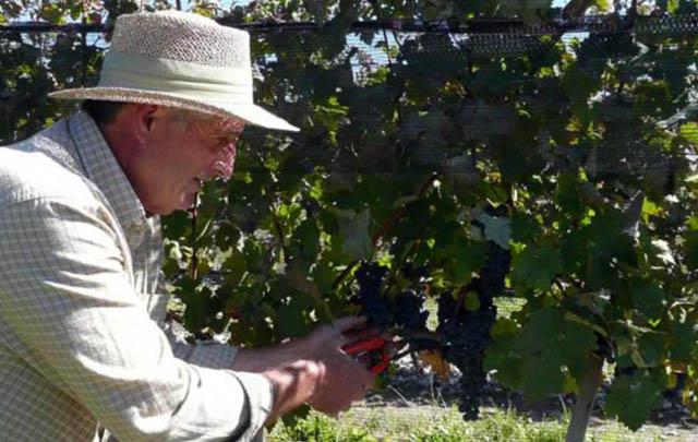 263 finca atos o3