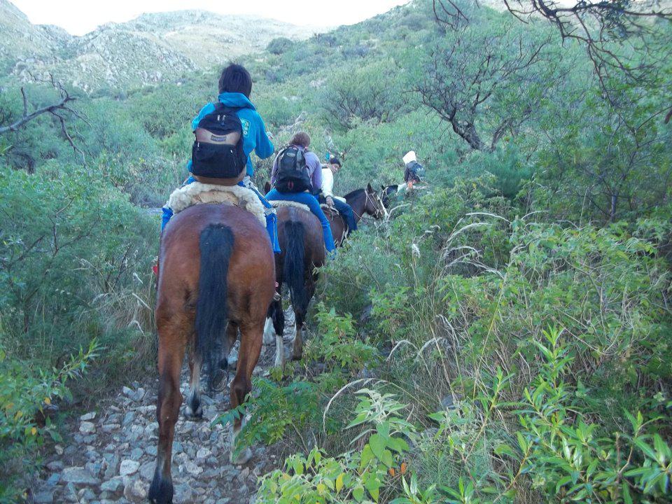 110 arroyo molles 1