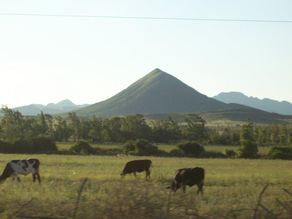 243 volcanes de pocho 1