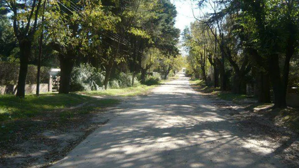 259 caminata a el milagro