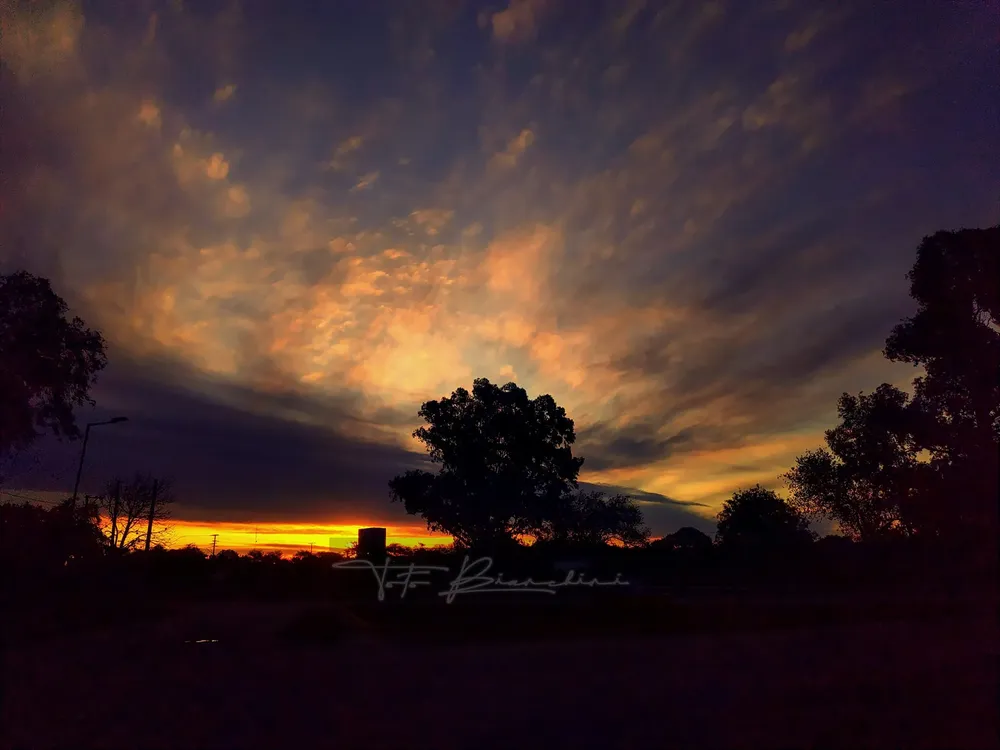 199 toto bianchi estacion