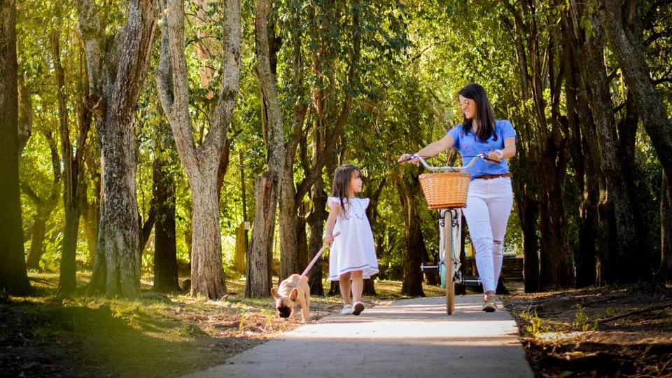 297 paseo del parque