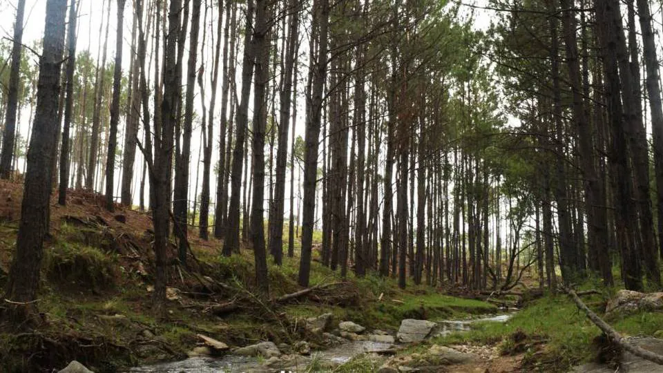 279 arroyo los cocos