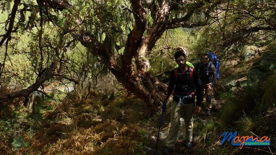 023 desde villa las rosas magma expediciones
