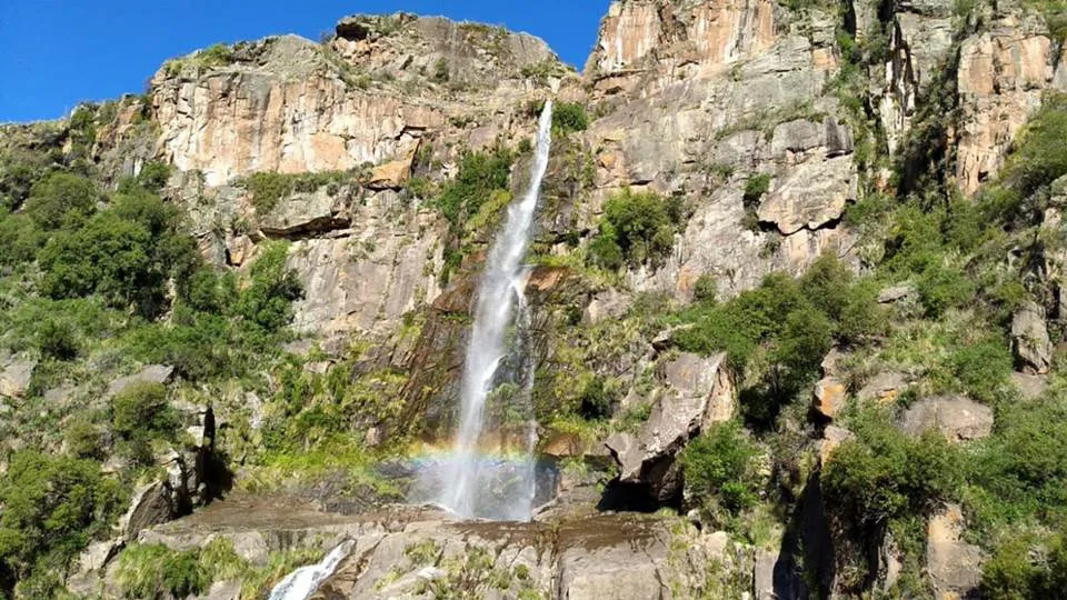 271 nacimiento