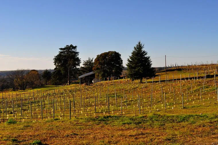096 bodega cadena 3