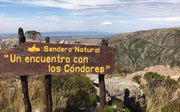 292 cond