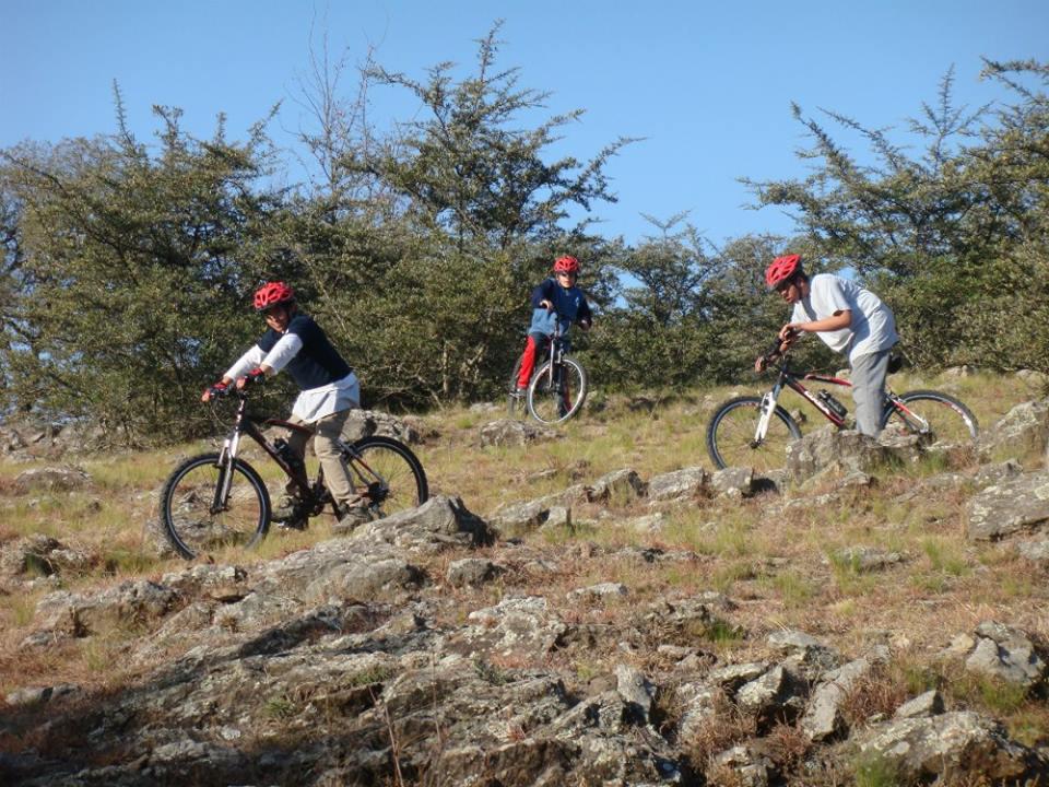256 bicis athos pampa