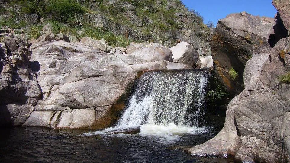267 rodeo de las mulas