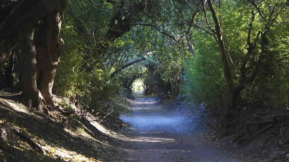 196 galerías cadena 3