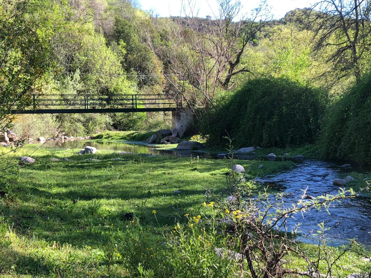 61e3eeac-dc99-4066-b023-41fa230d1686