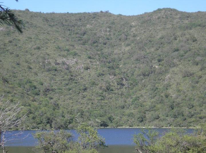 234 mirador
