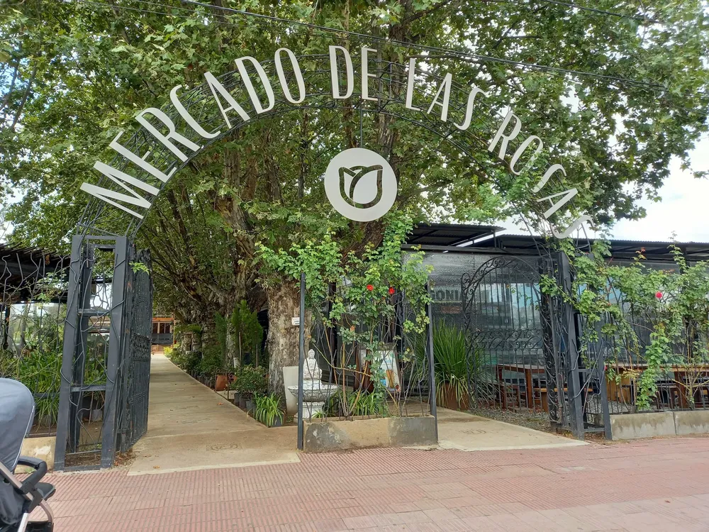 260 rosas