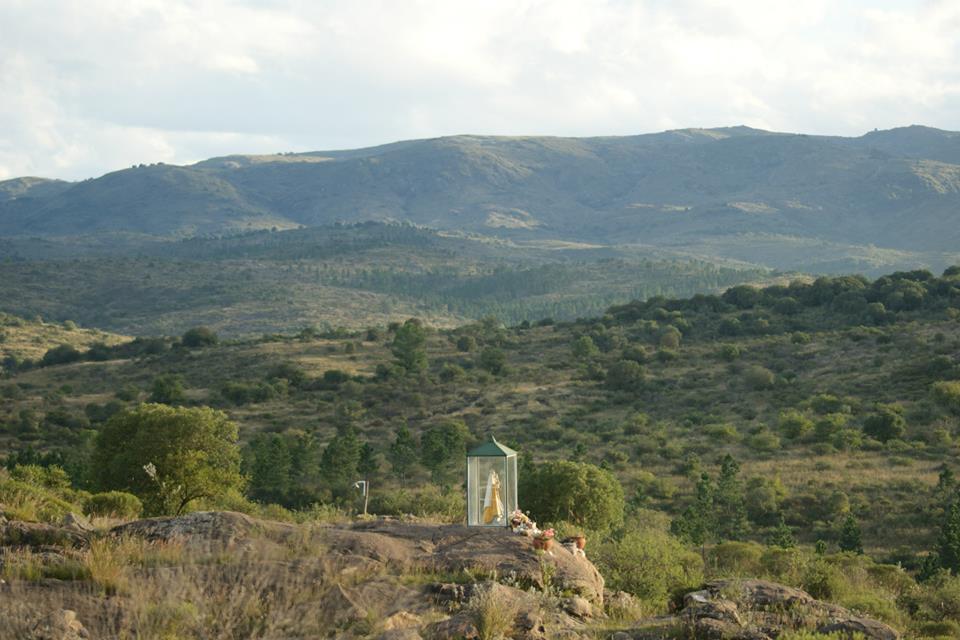 209 virgen