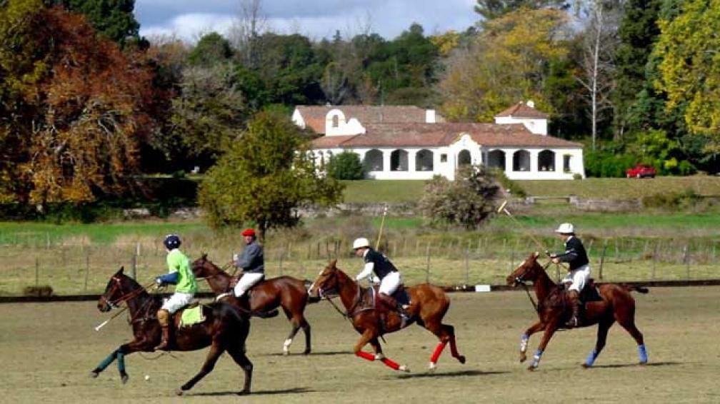 278 polo ascochinga 00