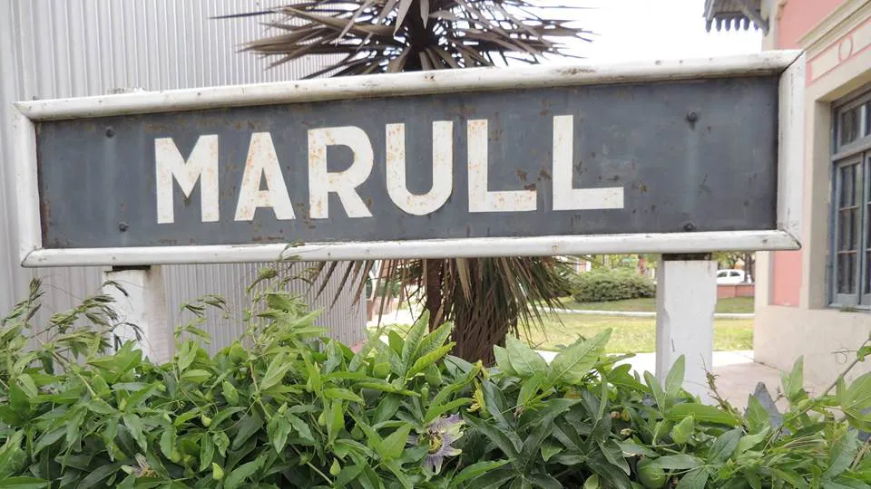 228 marull
